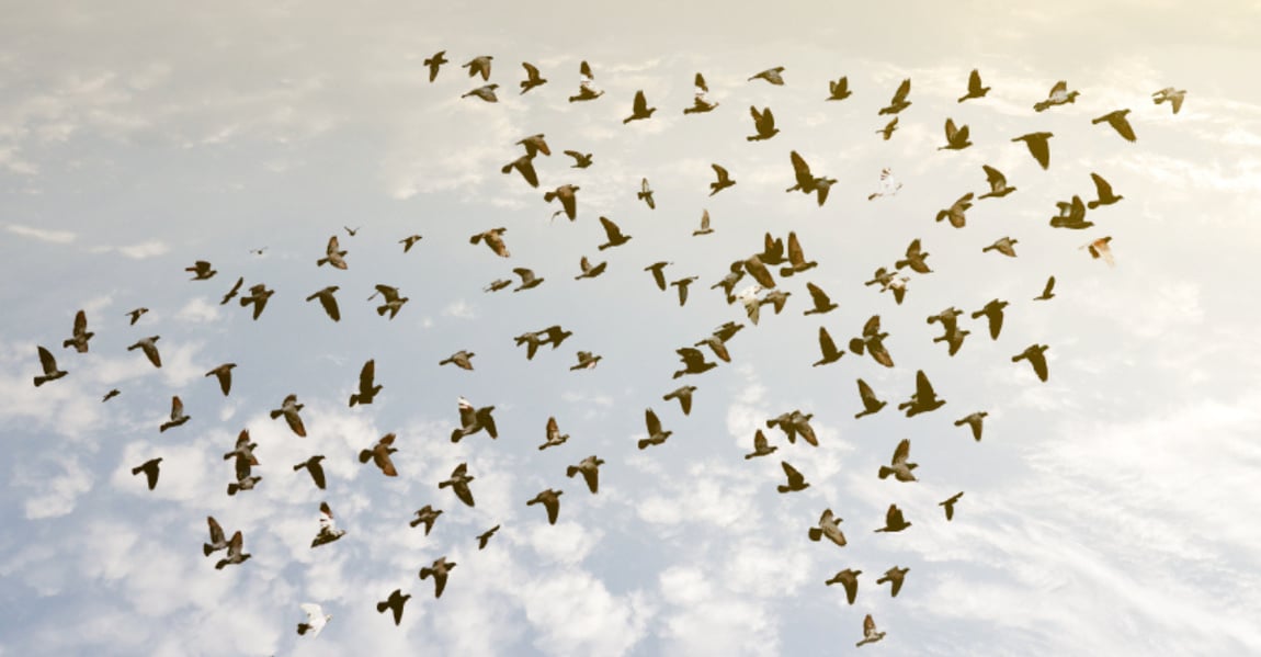 Leadership curajos: despre transformare, integritate și alegeri asumate