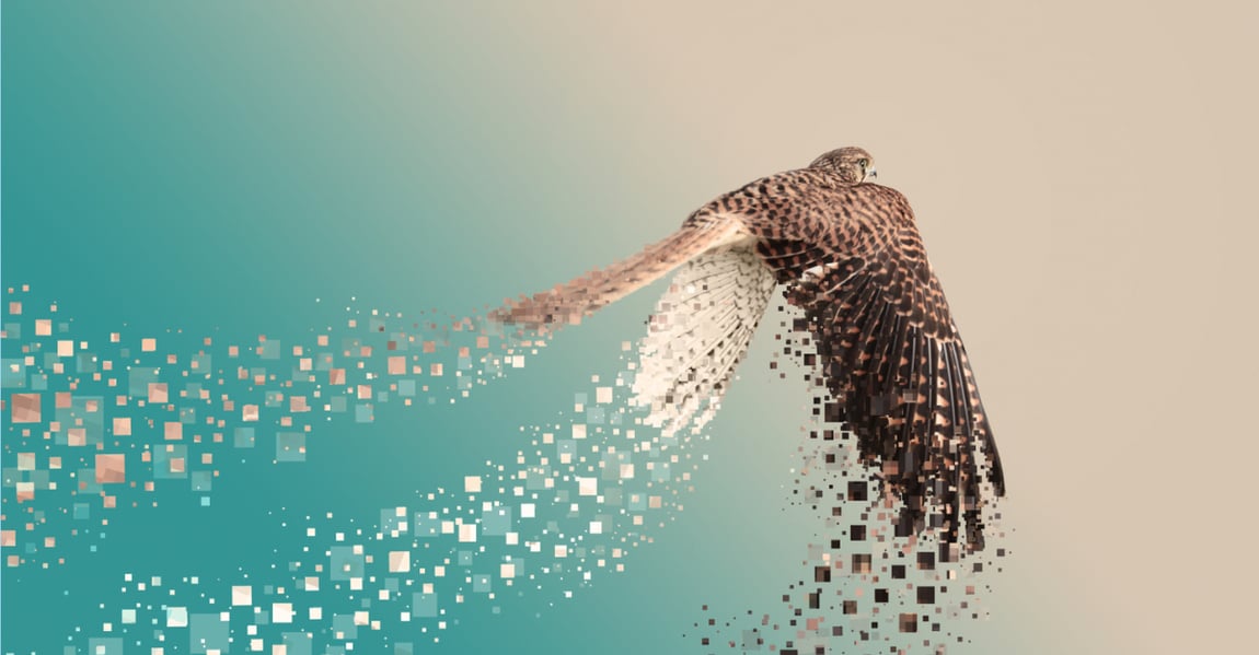 Cum construiesc liderii organizații pregătite pentru schimbare