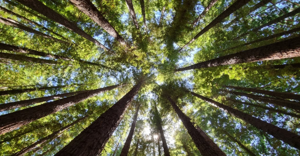 Ce înseamnă să fii stâlpul de sprijin într-o lume în continuă schimbare